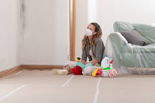 Reliable Mold Remediation contractor in West Orange, TX by WQB Mold Removal